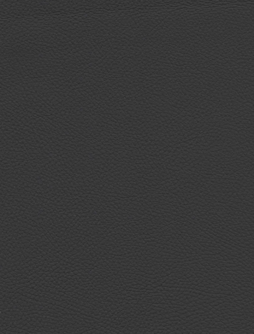 Gutekunst - Die Möbelkollektion Stuhl Monte