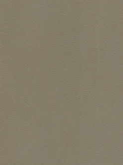 MAISON Stuhl Ontario