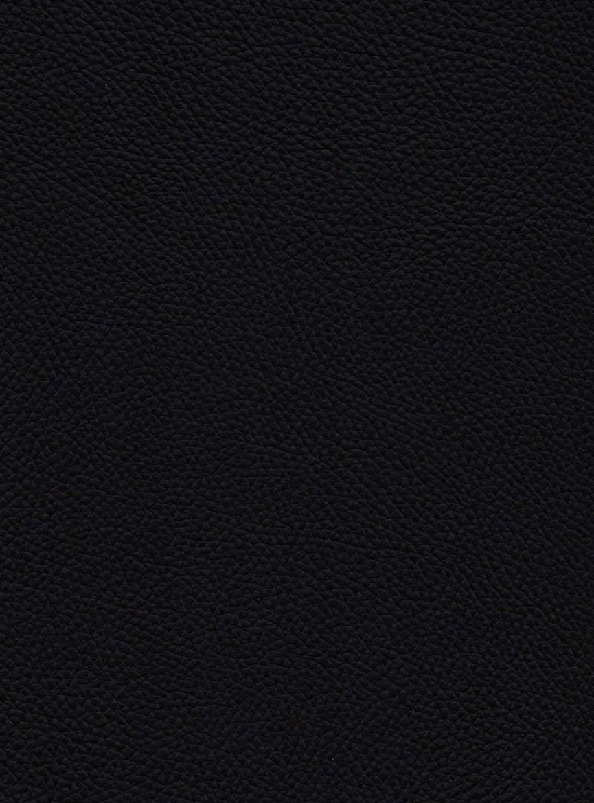 Sale Gutekunst - Die Möbelkollektion Stuhl Sydney Schwarz