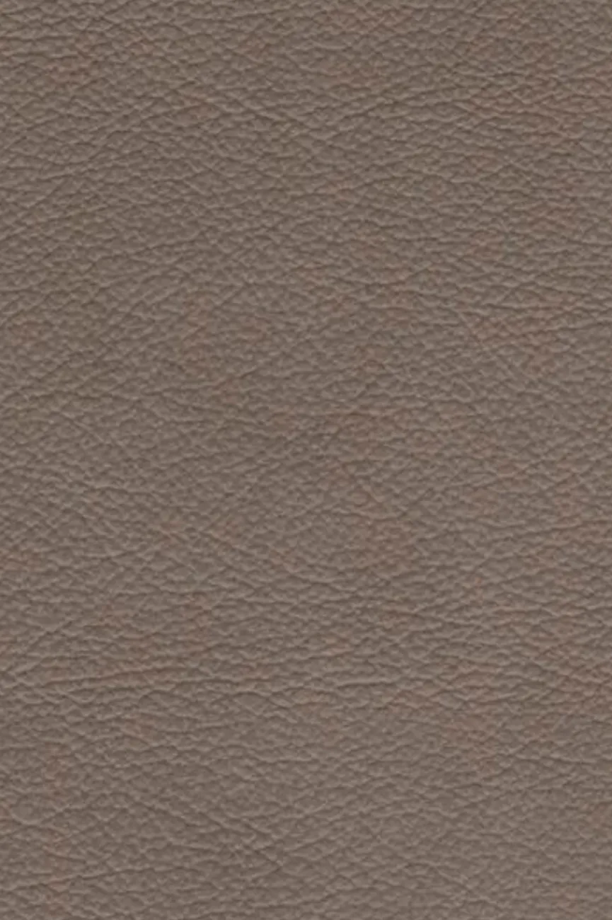 Sale Musterring Stuhl Tiama Smoke