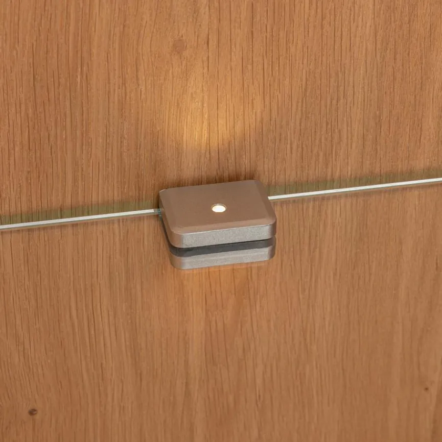 Vitrine Wien Wildeiche