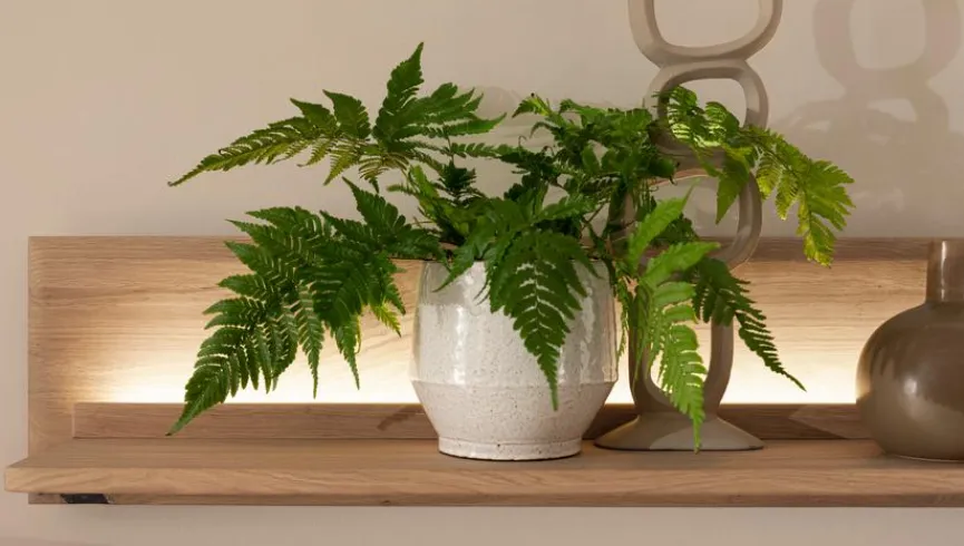 MCA Wandboard Alento