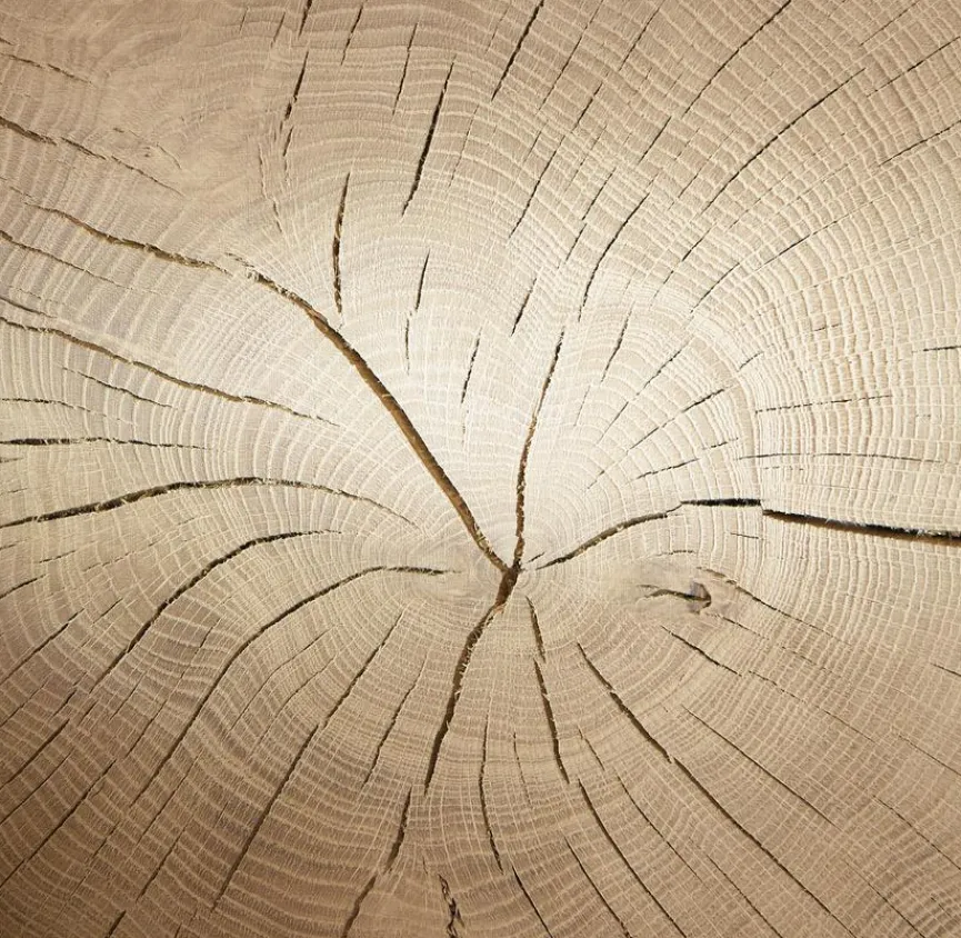 Online Hartmann Wohnwand Caya Eiche