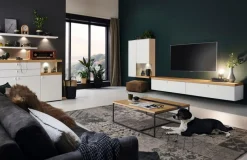 Venjakob Wohnwand Plan X2